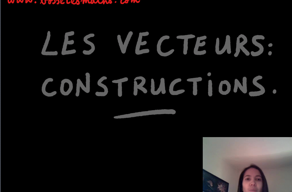 Les vecteurs – constructions [Vidéo](Seconde)