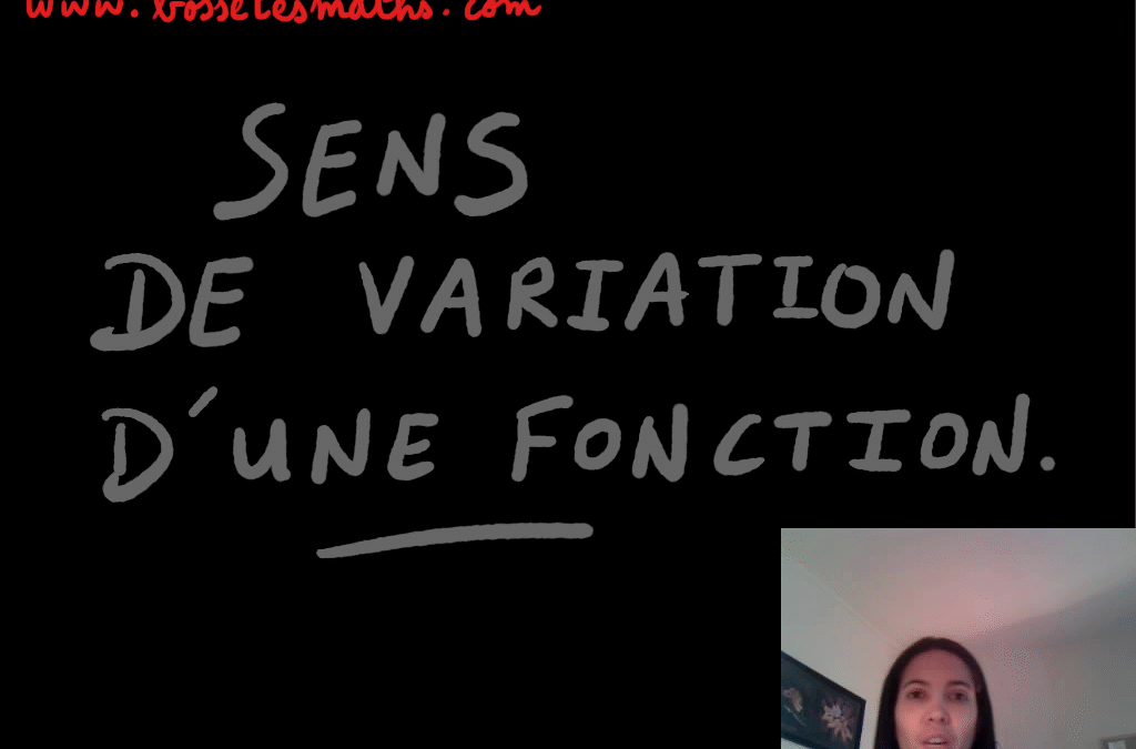 Sens de variation d’une fonction [Vidéo](Seconde)